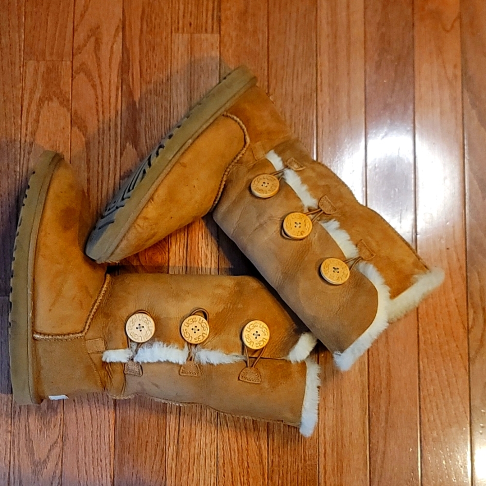UGG Chestnut Boots